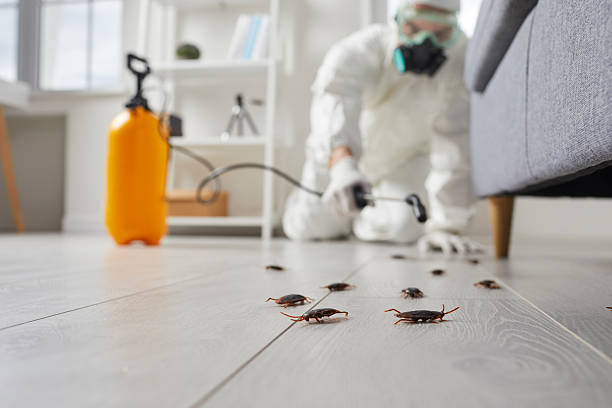 Post-Treatment Bed Bug Interceptor Monitoring in Woodstock