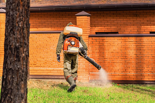Bed Bug Clearance Verification and Documentation in Woodstock